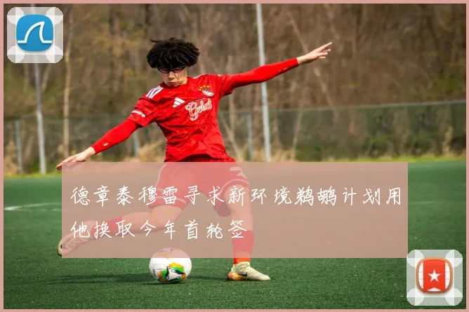 德章泰穆雷寻求新环境鹈鹕计划用他换取今年首轮签